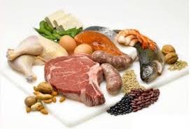 غذای پروتئینی